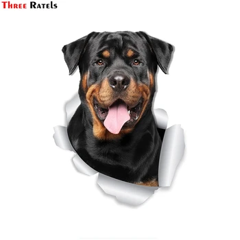 

Three Ratels 1060 3D Smiling Rottweiler Dog Wall Decals for Car Window and Bumper Sticker Retail Packaged Rottweiler Lover Gifts