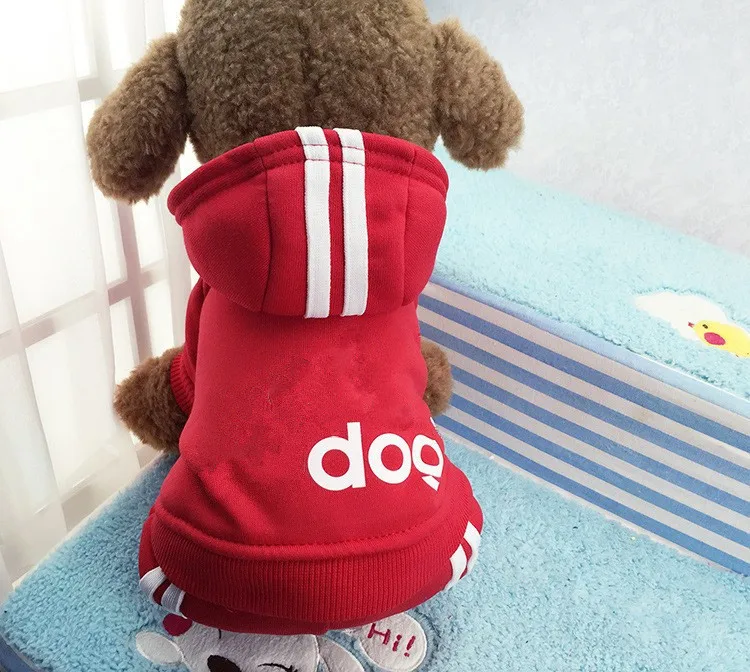 HTB1IzM5LXXXXXa9XXXXq6xXFXXXa