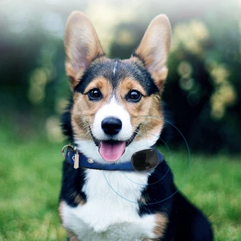 

4G Anti-Lost Locator Dog Positioning Device Waterproof Mini GPS Pet Tracker 4G LTE 3G Wideband With Free APP