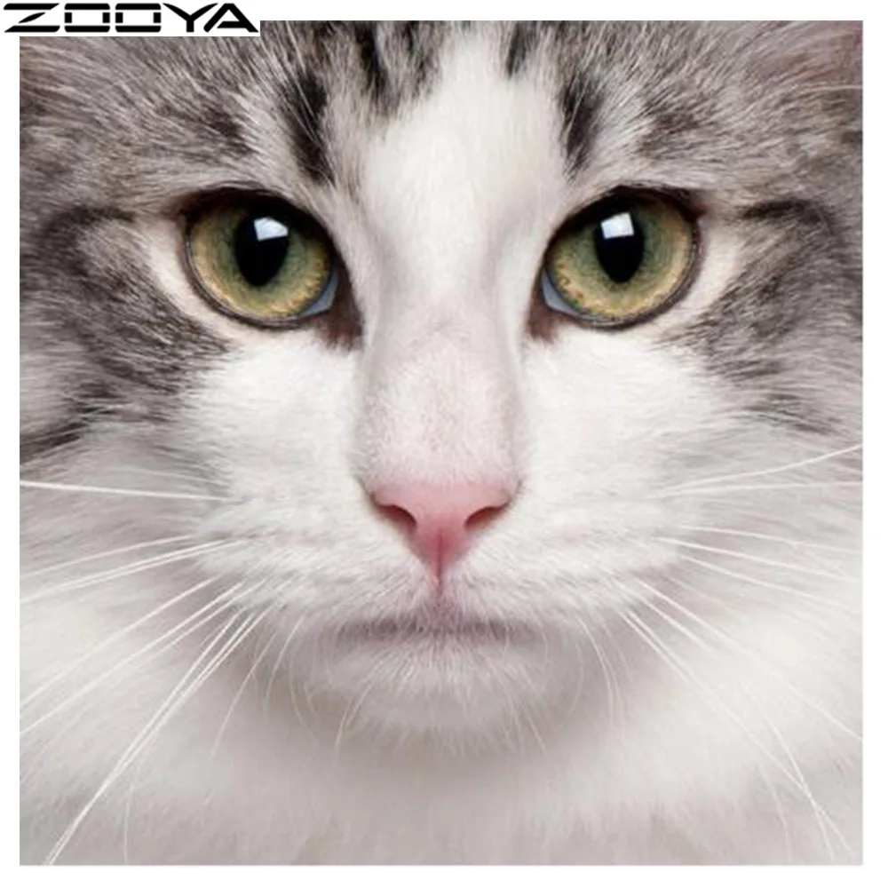 ZH095-13 Zooya 5D DIY алмазная живопись полная дрель квадратная Алмазная вышивка кошки полный набор распродажа Алмазная мозаика картина домашний декор Zh098 - Цвет: ZH095-13