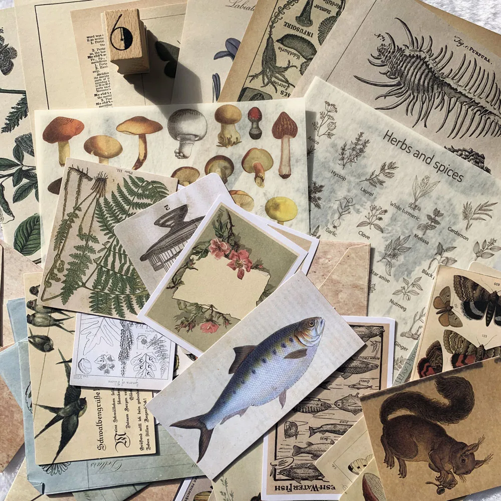 

Vintage Natural Notes/Renaissance/A trip To The Past/Specimen Collection Sticker DIY Scrapbooking Label Diary Retro Sticker