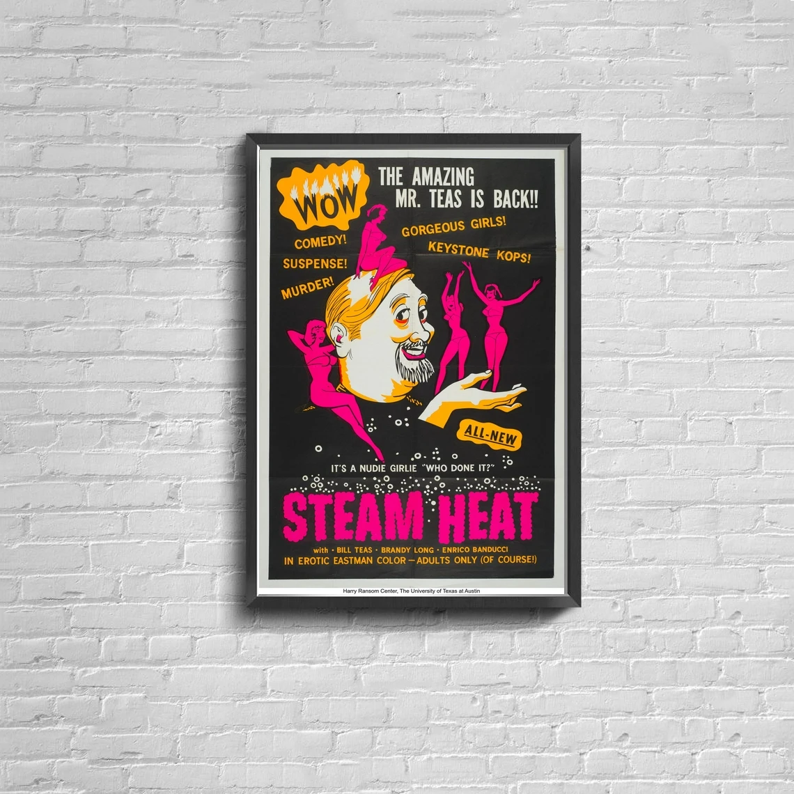 

Steam Heat Early Adult B-Film (1965) Vintage Movie Poster Canvas Print Home Vintage Wall Painting Decoration (No Frame)