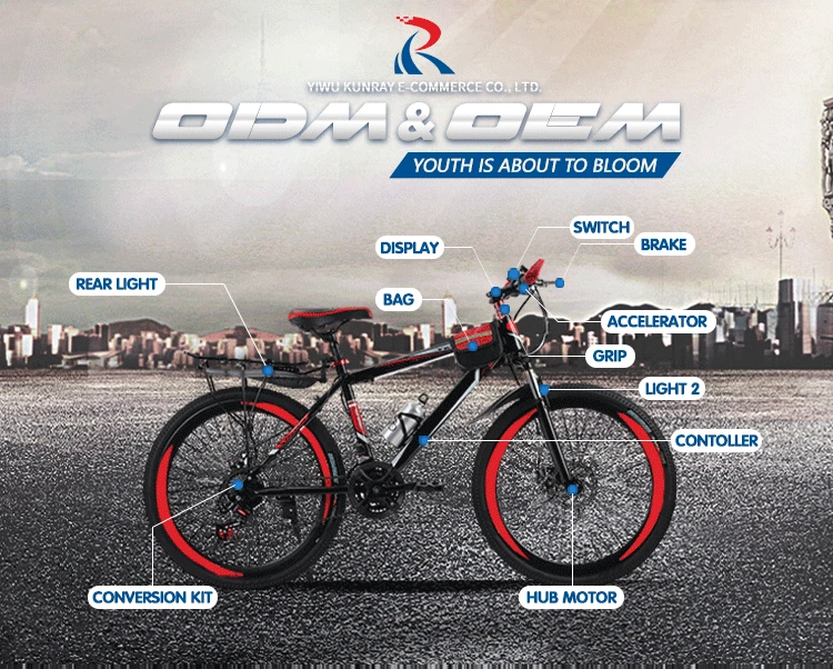 48V-120V 5000W 100A Electric Vehicles/Scooters/Tricycles Motor Controller Brushless