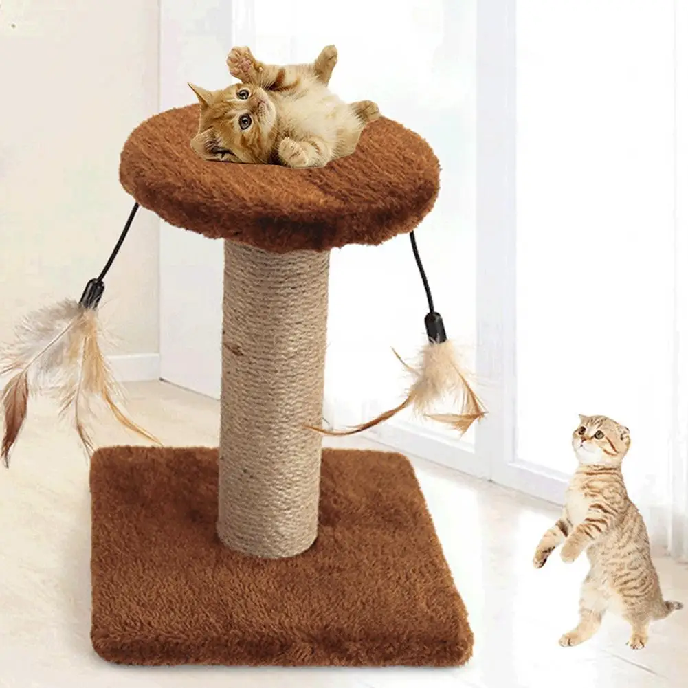 Домашнее животное кошки Котенок Перо скалолазание рама дерево когтеточка молярный укус жевательная игрушка 4