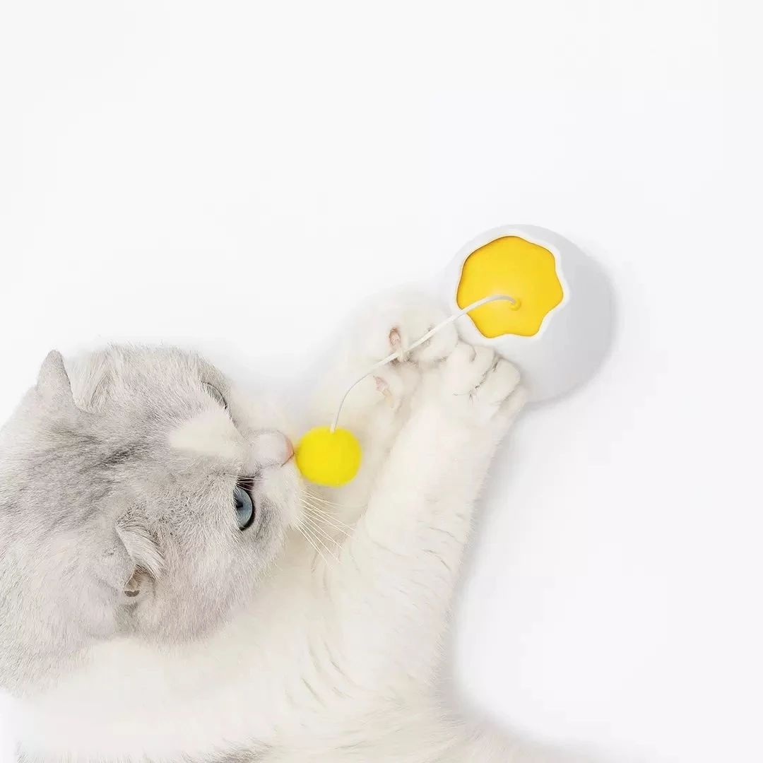 Xiaomi Youpin яичная скорлупа электрическая игрушка Born Amuse кошки интеллектуальная компания интересный моделирование тихая работа игрушка для домашних животных для кошек