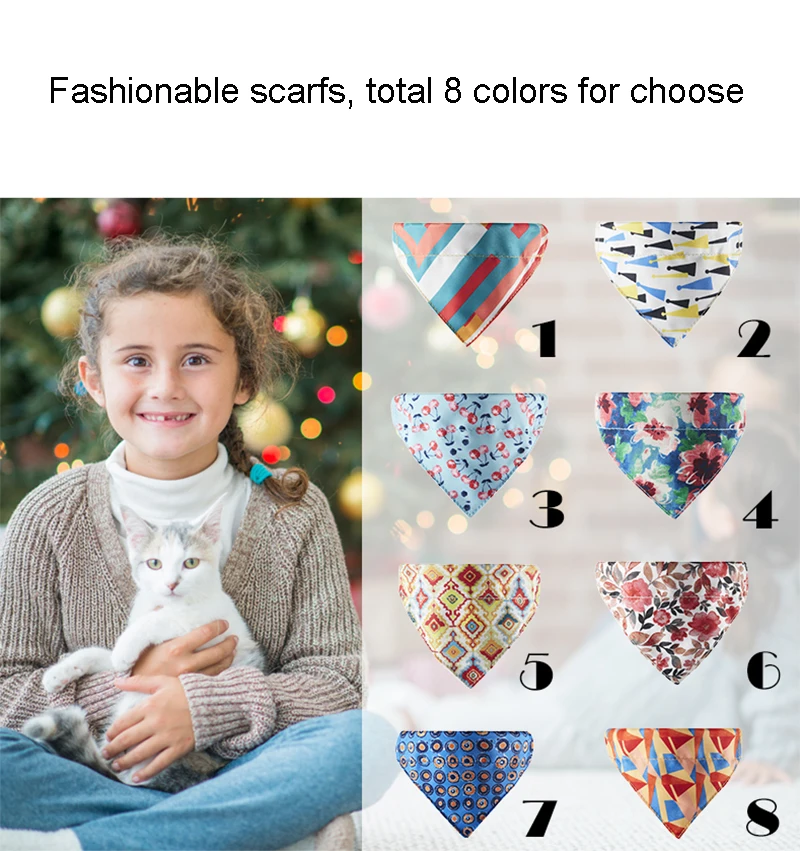 PP-043 colors