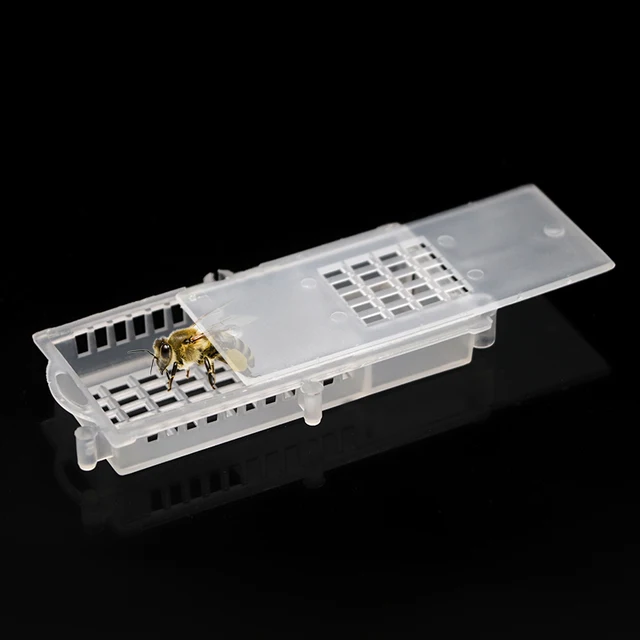 20 Pcs Méhész Méh Átlátszó Queen Ketrecek Rovarfelszerelés Ház Méhkapár Méhészeti Eszközök