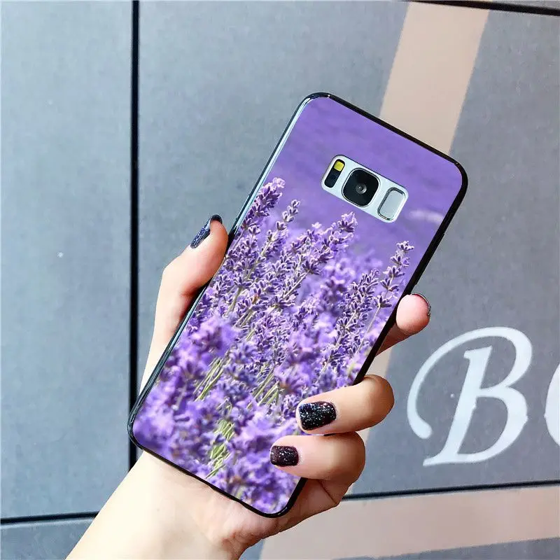 Simple lavender Purple flowers   