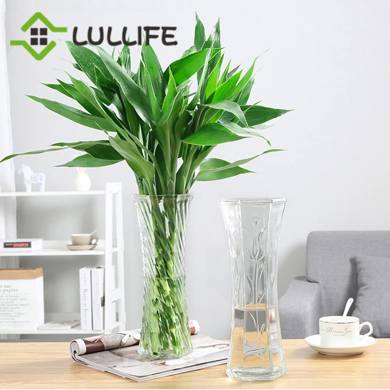 

Large Flower Vase Green Plants Hydroponic Glass Vase Square Flowerpot Tabletop Flower Container Wedding Office Home Decoration