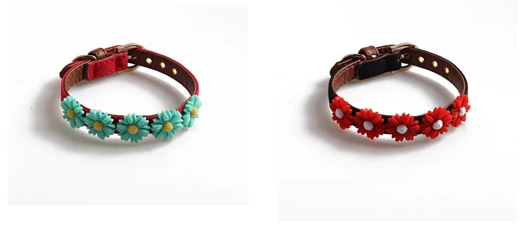 12336693469_307791824