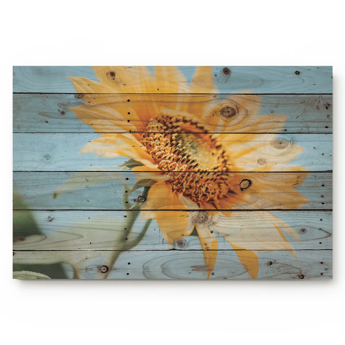 Sunflower Board Pattern Rustic Retro Background Non-slip Bathroom Accessories Door Mat | Дом и сад