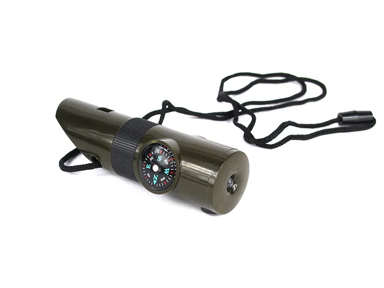 4302255979_224176411