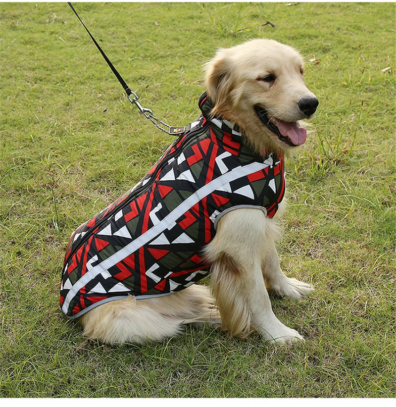 clothes for dogs (29)