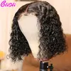 Lace Wigs