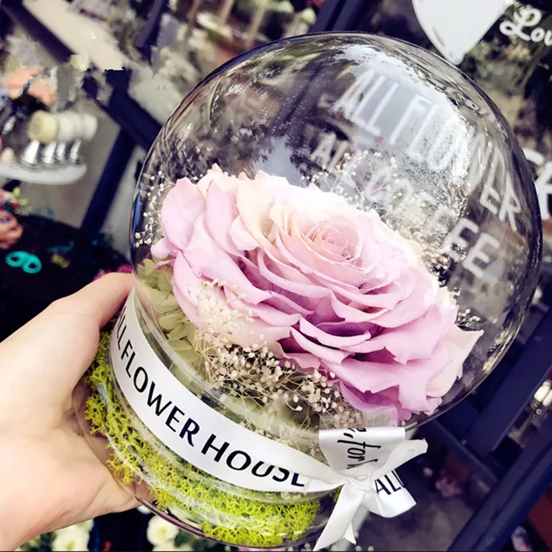 

Diameter=12cm Round Shape Glass Dome Vase Home Decoration Creative Glass Cover Glass Base Vase Friend Gift Wedding Decoration