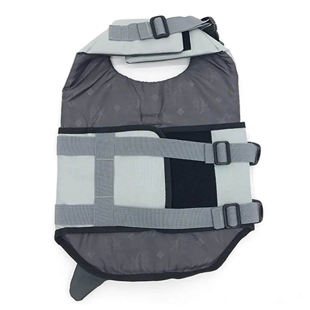 316714_no-logo_316714-1-13-g