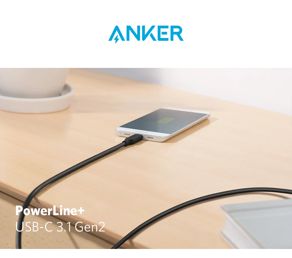 Powerline II USB-C 3.1 Gen 2 Cable Power Delivery