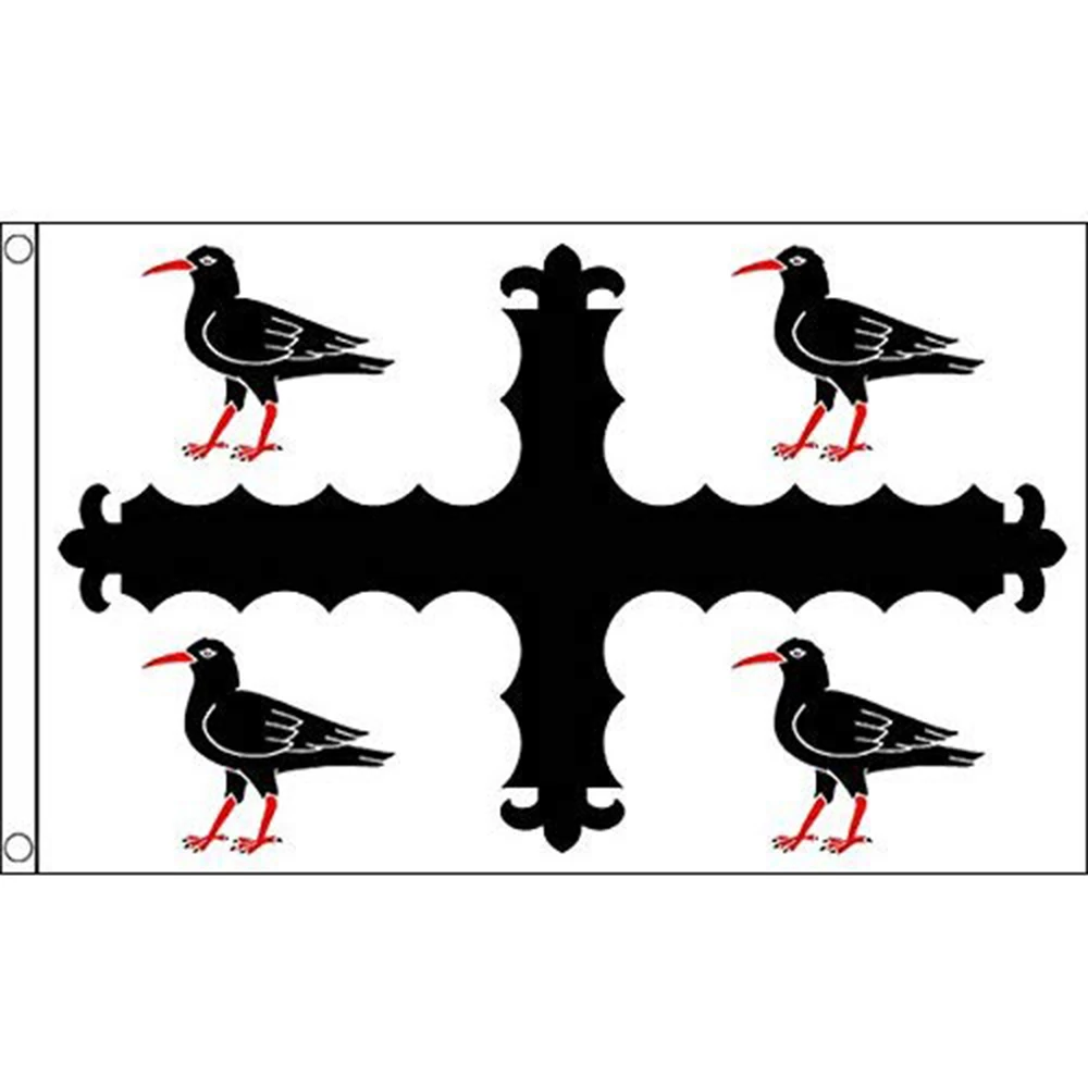 弗林特郡郡旗帜Flintshire County Flag