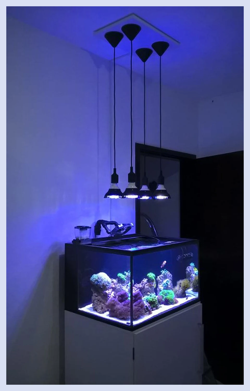 Светодиодный коралловые лампы E27 PAR 38 54 Вт светодиодный полный спектр светодиодный светильник для выращивания растений аквариумная лампа SPS LPS Pongs мягкие кораллы