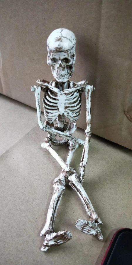 

20cm Human Bone Assembly Model Human Skeleton Model Medical Teaching Supply Science Teaching Aids Human Skeletonology Anatomy