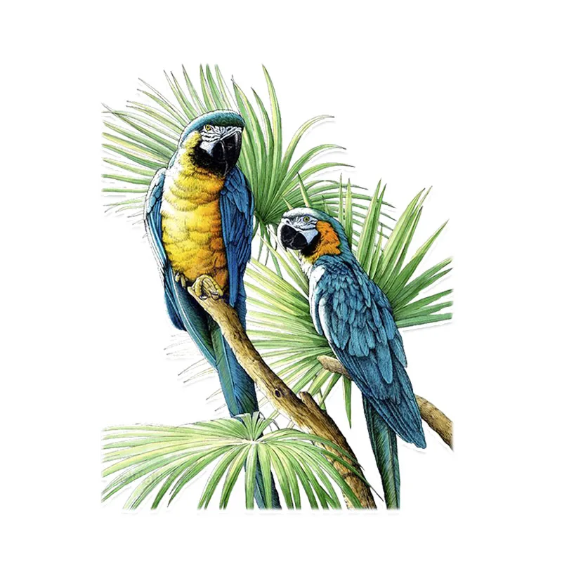 

Beautiful Two Parrot Decor Car Sticker Motorcycle Decals Windshield Vinyl Cover Scratches Waterproof PVC 14.4cm X 11.4cm