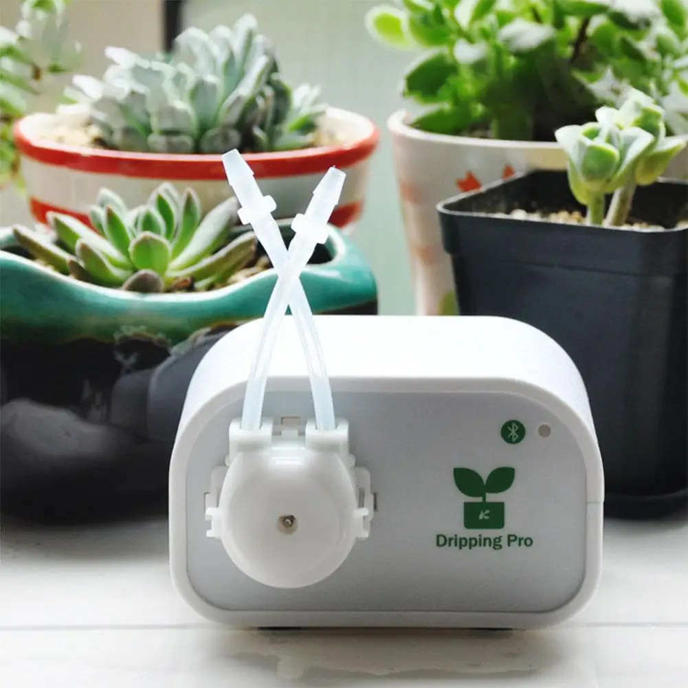 

GloryStar Pretty Automatic Flower Watering Tool with Drip Irrigation System for Garden Supplies