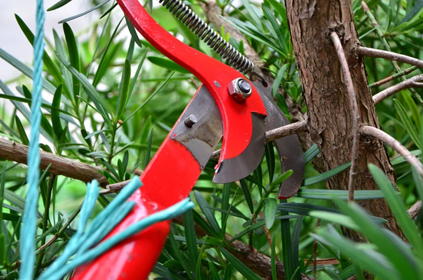 Высокая высота секаторы дерево триммер ветки резак садовые ножницы для обрезки pick фруктовый инструмент с веревкой полезные ножницы
