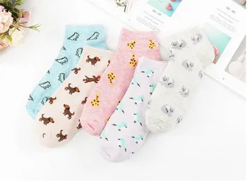 

DHL 200pair Female Cartoon Cute Lovely Dinosaur Bird Cat Funny Socks Girls Skarpetki Ankle Summer Socks