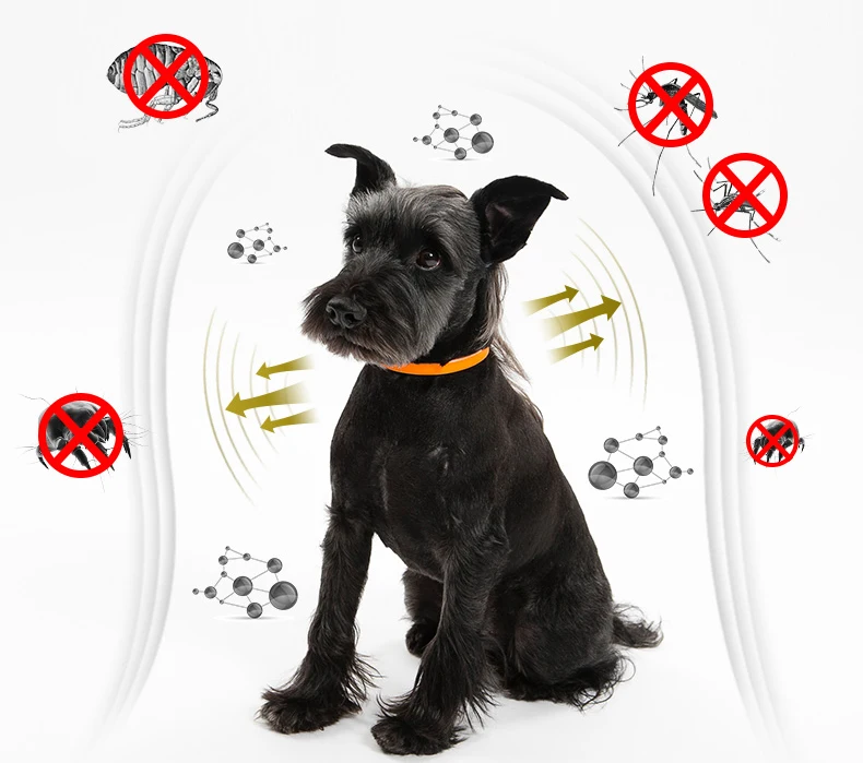 TB2aloRHXOWBuNjy0FiXXXFxVXa_!!2249369227