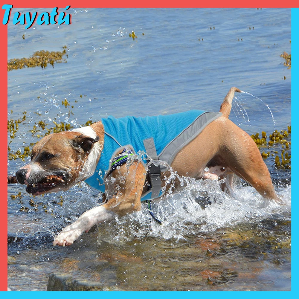 cool down vest for dogs