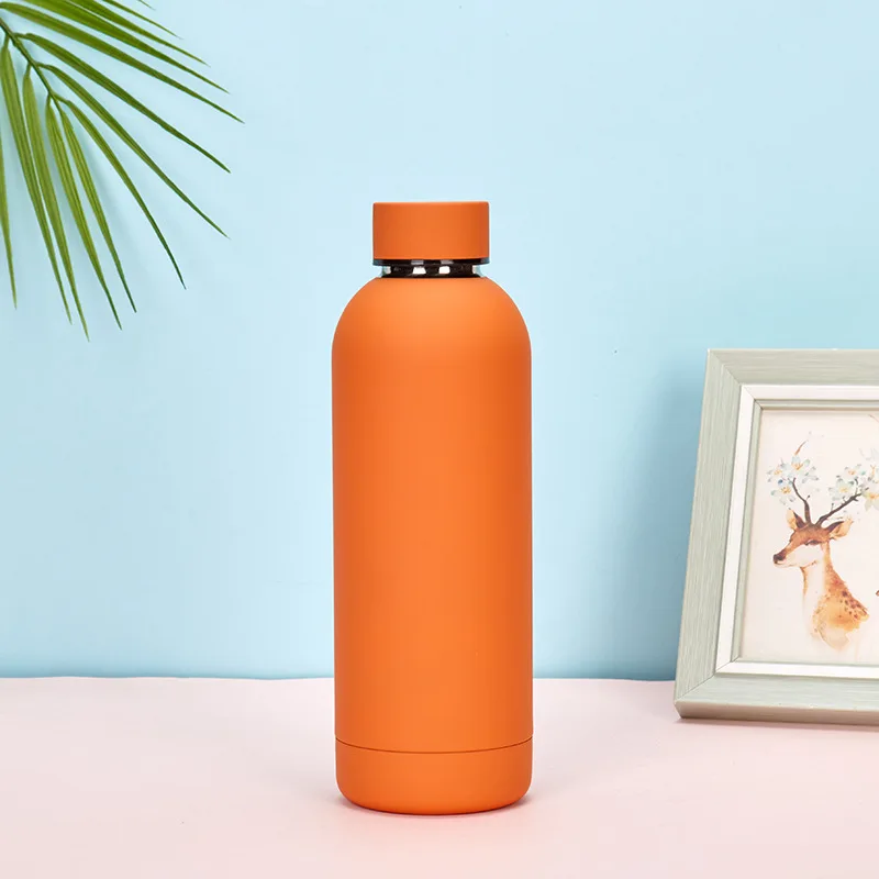 Gourde Isolée en Titane 800ml pour Camping et Randonnée - Silver