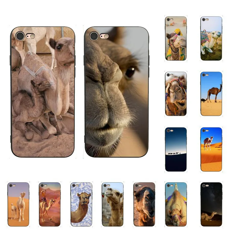 Hewan Unta Lucu Berwarna-warni untuk iPhone 8 7 6 6S Plus X XS MAX 5 5S SE XR 11 11pro Promax Ponsel