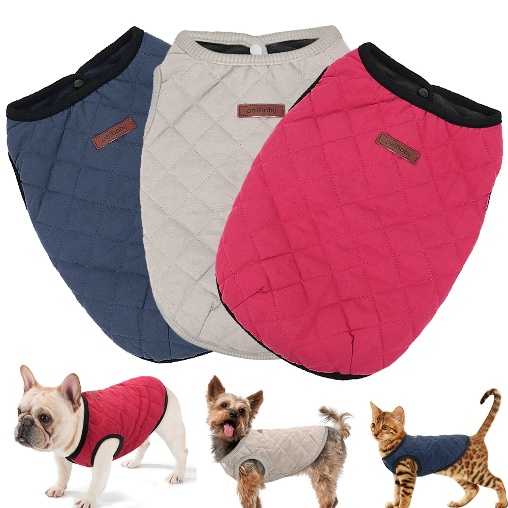 chihuahua coats