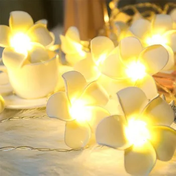 

Creative DIY frangipani LED String Lights, AA Battery floral holiday lighting, Event Party garland decoration,Bedroom decoration
