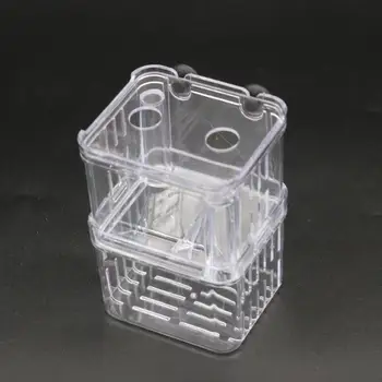 Skup Hodowla Ryb Sucker Akwarium Box Izolacja Inkubator Akcesoria Akrylowe Duże