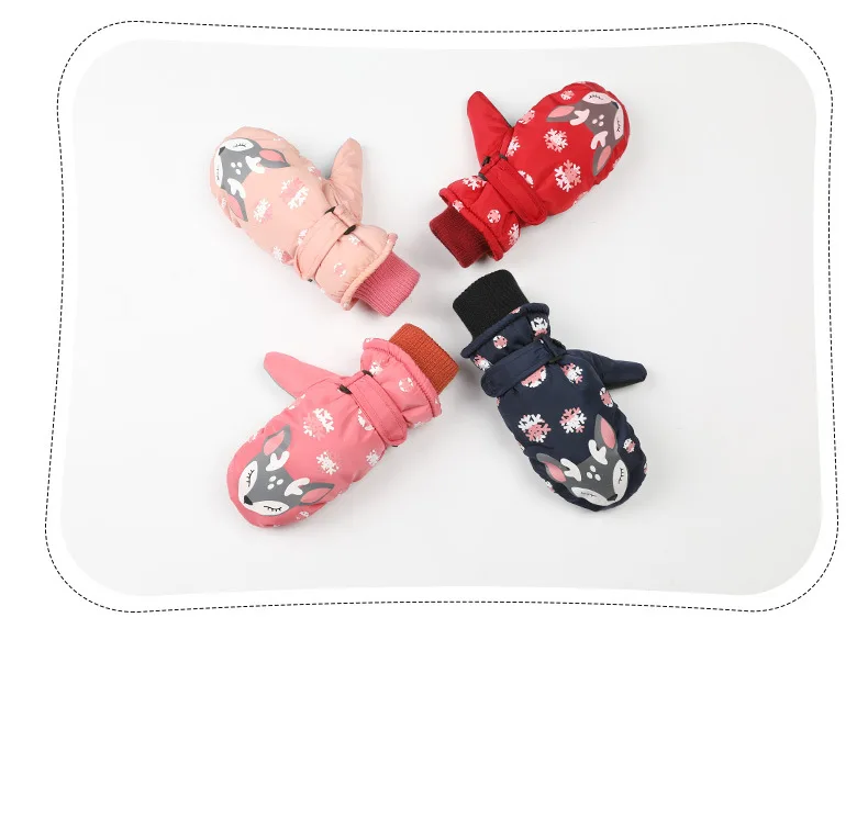 11319120011_1677106186