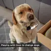 Pet Products