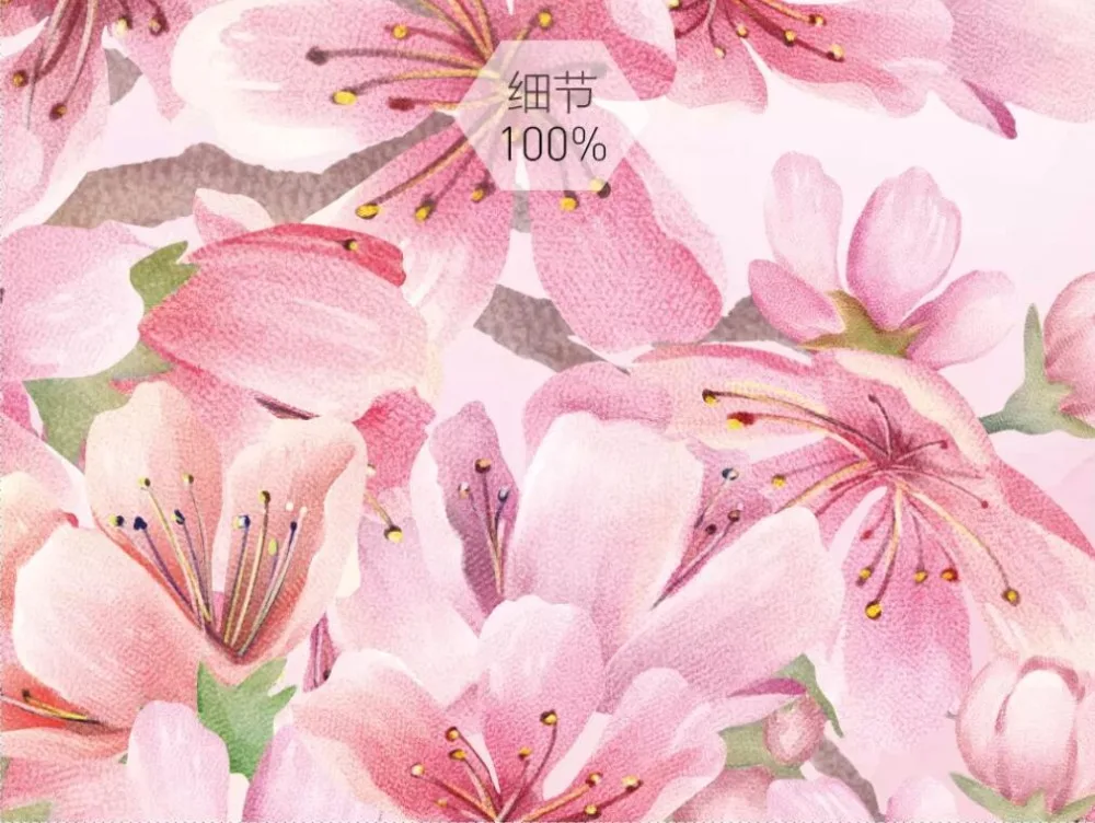 QQ截图20190411214957