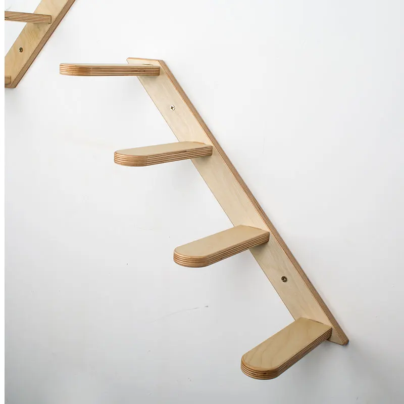 ladder_37