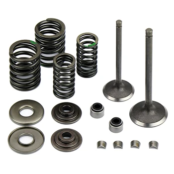 

Majesty YP250 Valve Oil Seal Kit Spring 69MM LH260 300cc ATV Manco Jiangsu Linhai Intake Exhaust Assembly Valves Repair Parts