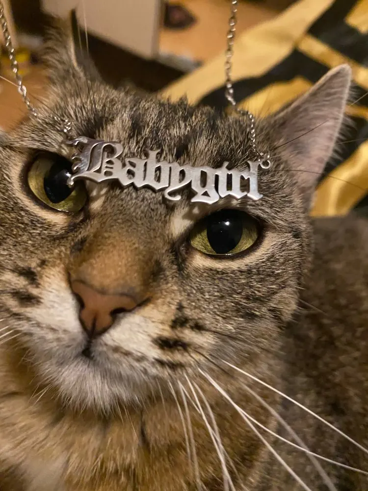 Uc66b187244aa4016852f0af81d78af22K