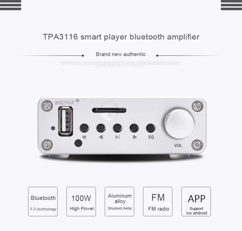 BORIZSONIC мини HiFi музыкальный плеер TPA3116 Цифровой Bluetooth 5,0 усилитель мощности u-диск/TF/AUX/FM