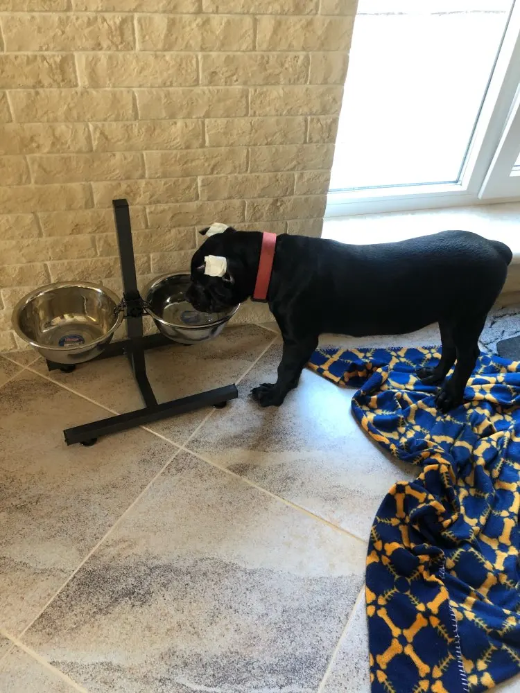 U6727e1f9b4694fe083182efeb146090d5