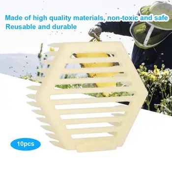 

Bee 10Pcs Hexagonal Shape Queen Cage Beekeeper Tool Beekeeping Equipment Bee Keeping Accessories