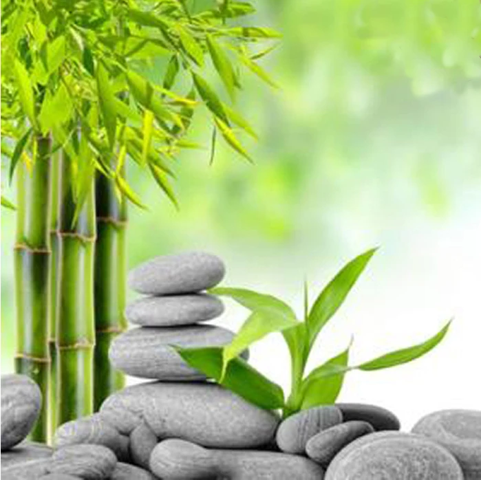 HTB1Xyw8C1uSBuNjSsziq6zq8pXay