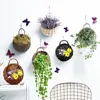 Garden Supplies