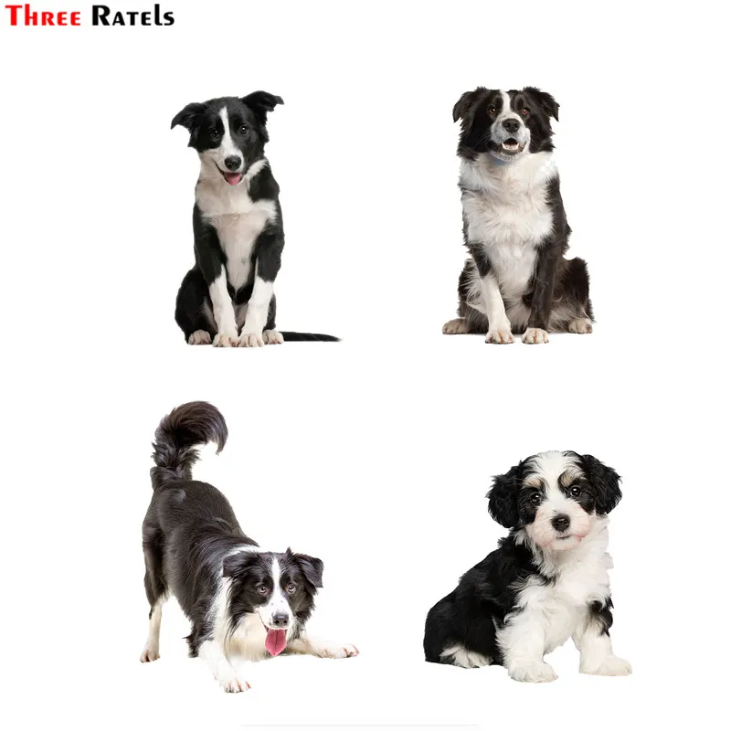 

Three ratels FTC-710# pvc waterproof border collie dog window wall bedroom auto car sticker decal