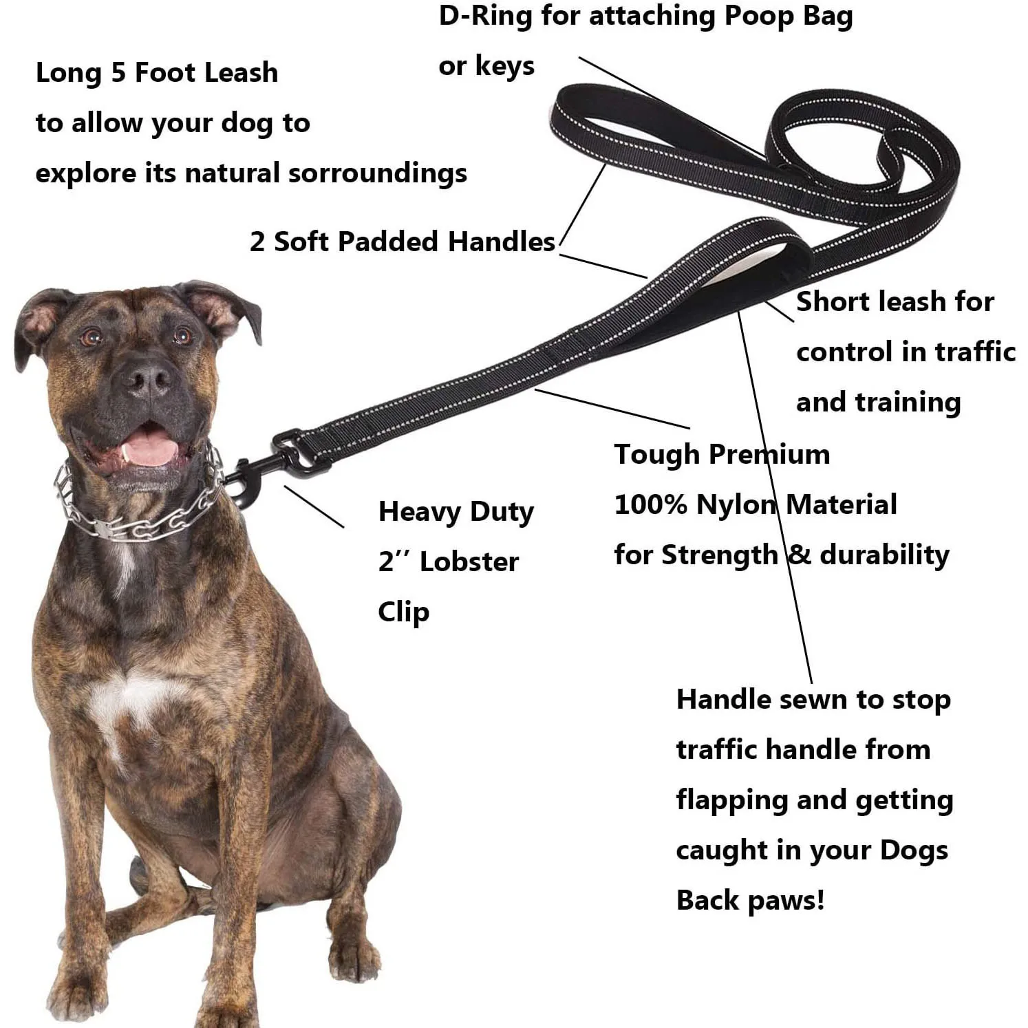 амуниция для собак for dog training