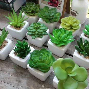 

Zakka Japanese Style Fake Artificial Succulent Pant Mini Potted Plant Imitation Flowers Car Decorations Furnishings