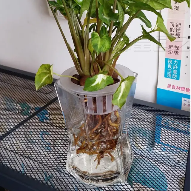 10Db Hidroponikus Réselt Hálószalag Kosár Kerti Növényi Óvodai Edény Szivacs Nélküli Aeroponikus Hidroponika Termesztési Rendszerkészlet - Image 6